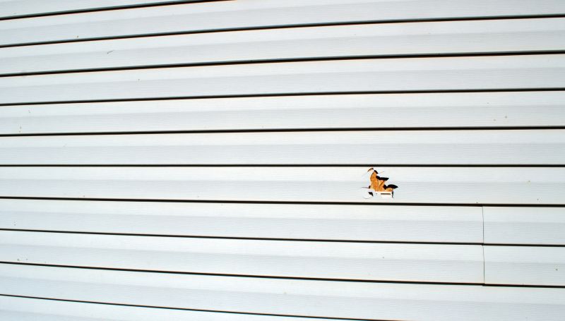 Assessment of Siding Damage